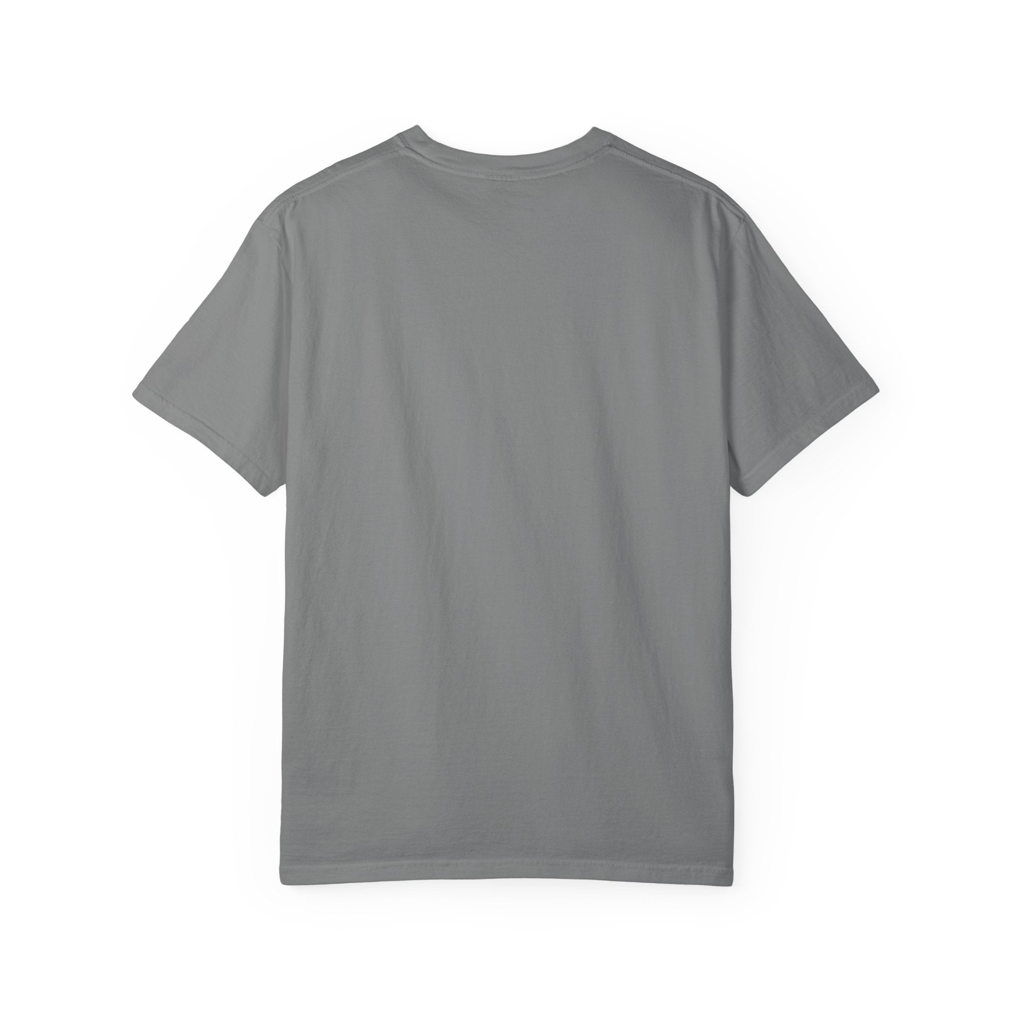 King Of The Thermostat T-shirt