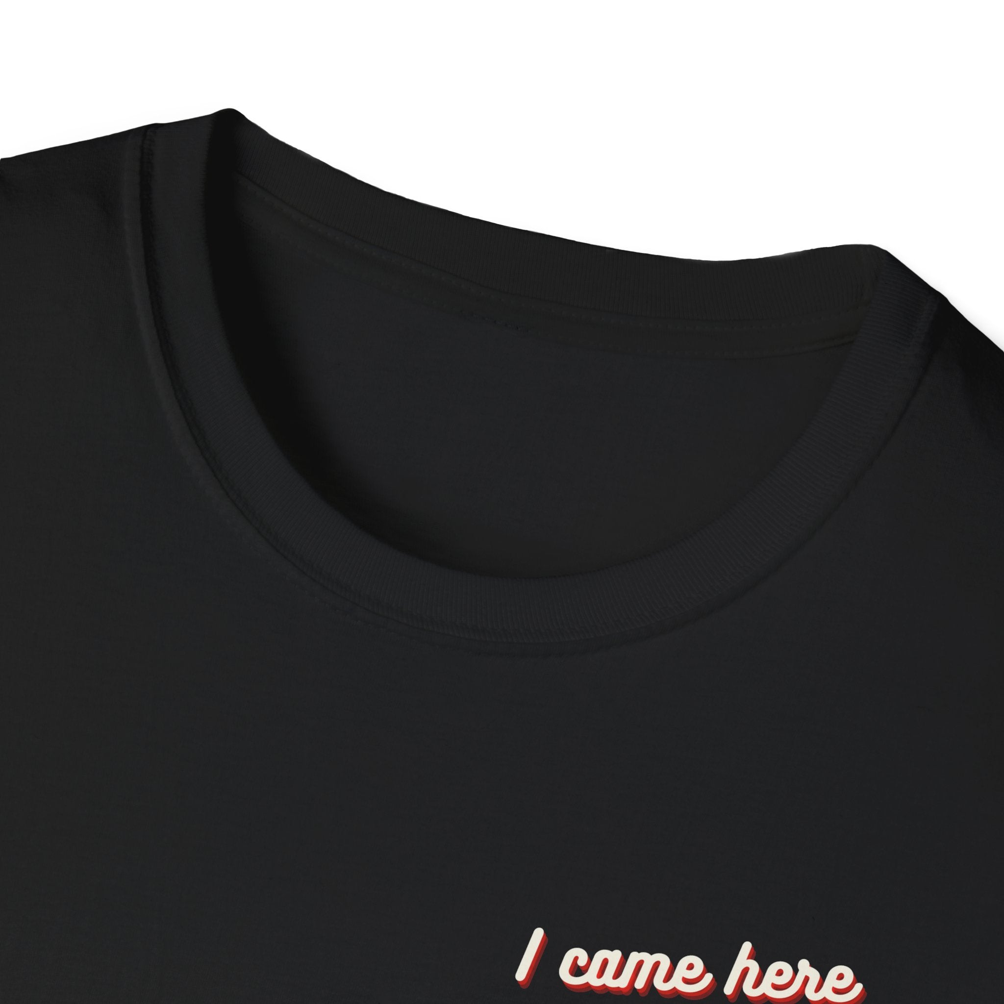 I Came Here To Forget The WiFi Unisex Softstyle T-Shirt