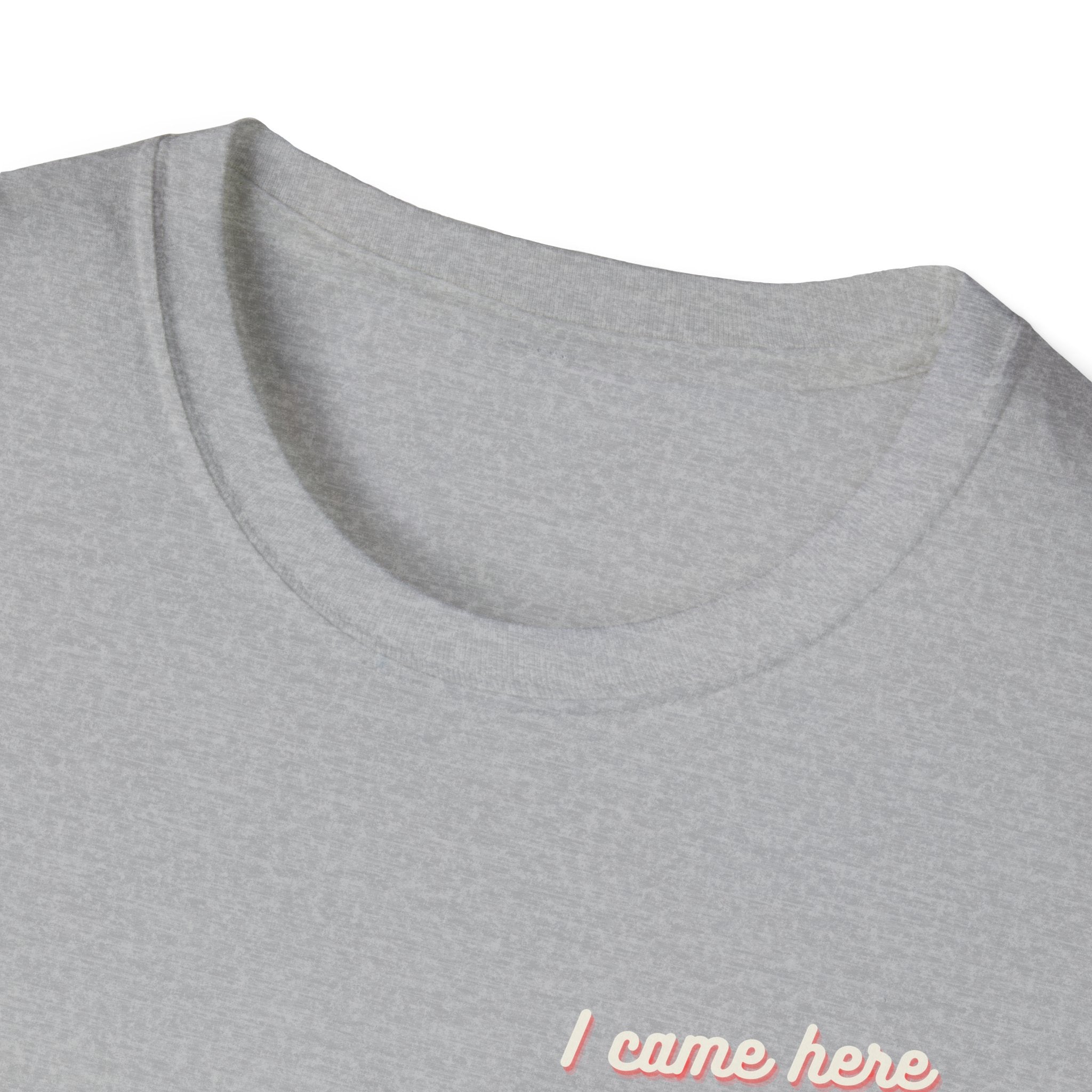 I Came Here To Forget The WiFi Unisex Softstyle T-Shirt